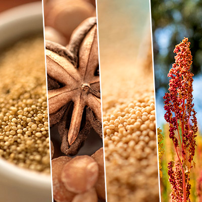 Día de los Granos Andinos: 4 granos nutritivos que deberías incluir en tu dieta